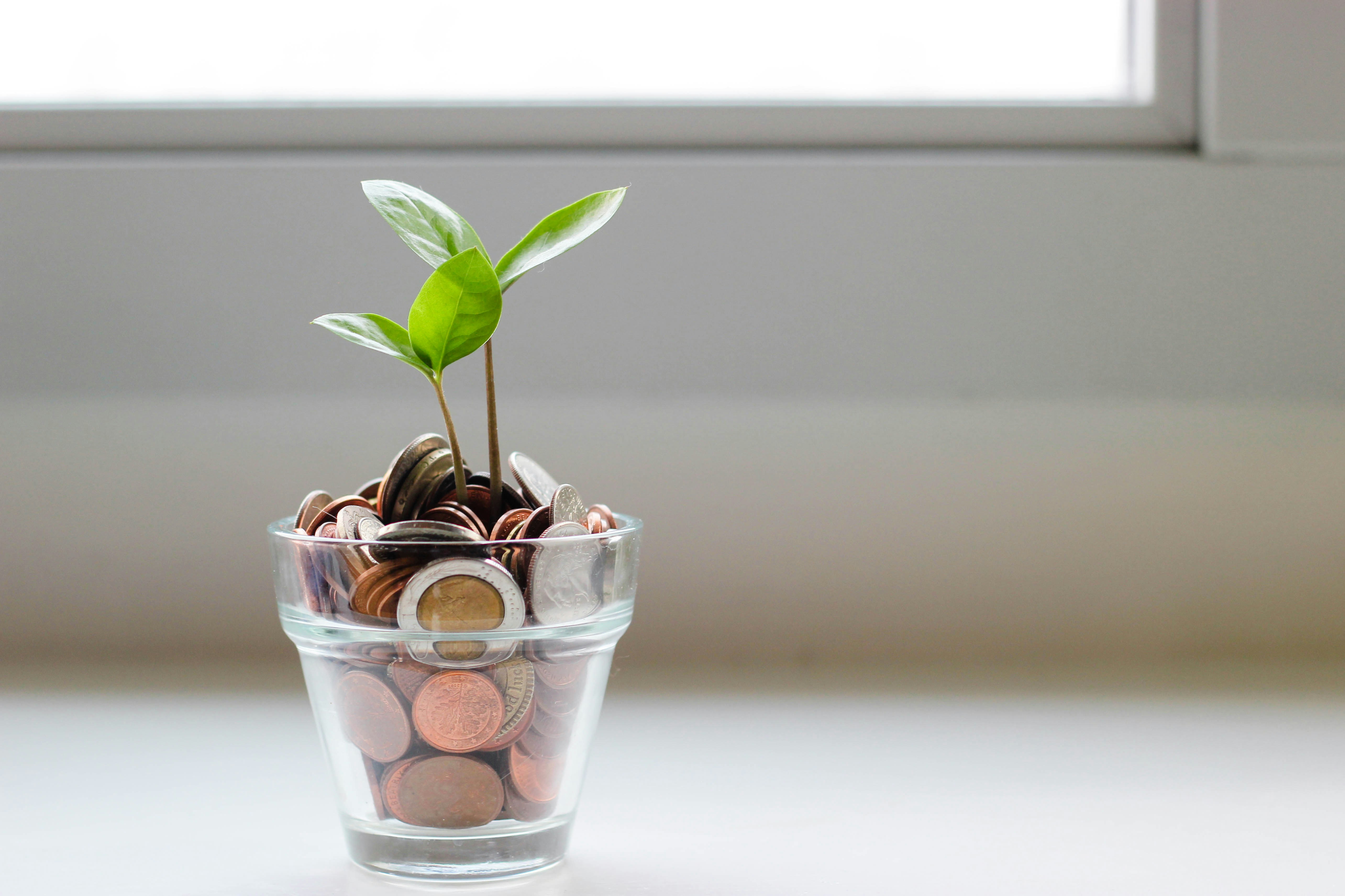 A small green plant sprouting from a glass filled with coins, symbolizing growth and financial investment. The plant has two stems with fresh green leaves, and the coins are a mix of various denominations, illustrating the concept of nurturing financial growth or savings.